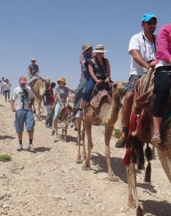 תמונה של יאהלה קאמפ: חאן באזור עבדה - למטייל בישראל (טיולי)